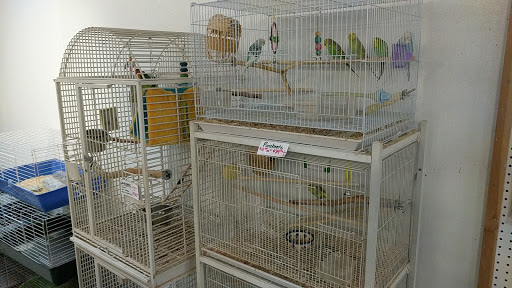 Pet Store «Pet Planet», reviews and photos, 11968 S Redwood Rd, Riverton, UT 84065, USA