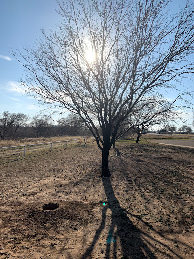 Wildlife Park «Prairie Dog Town», reviews and photos, MacKenzie Park Rd, Lubbock, TX 79401, USA