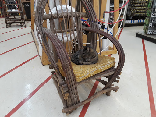 Hardware Store «Do It Best», reviews and photos, 609 W Monroe St, Bangor, MI 49013, USA