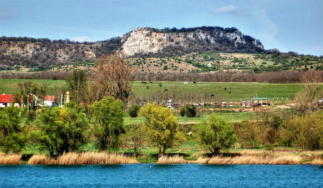 Értékelések erről a helyről: Sátorkő Kft. - Lovarda Esztergom, Esztergom - Edzőterem