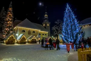 Alpska Vasica image