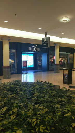 Shopping Mall «Altamonte Mall», reviews and photos, 451 E Altamonte Dr, Altamonte Springs, FL 32701, USA