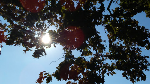 Park «Matthiessen Park», reviews and photos, 1 Bridge St, Irvington, NY 10533, USA