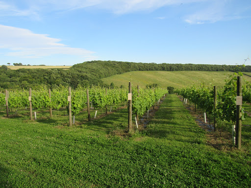 Little Wold Vineyard