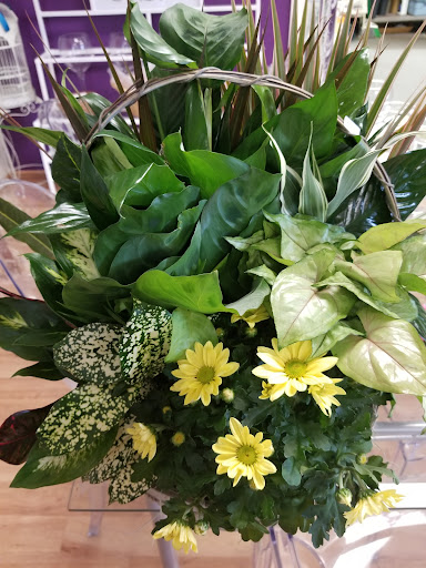 Florist «Annie Occasion for Any Occasion», reviews and photos, 148 S Bloomingdale Rd #110, Bloomingdale, IL 60108, USA