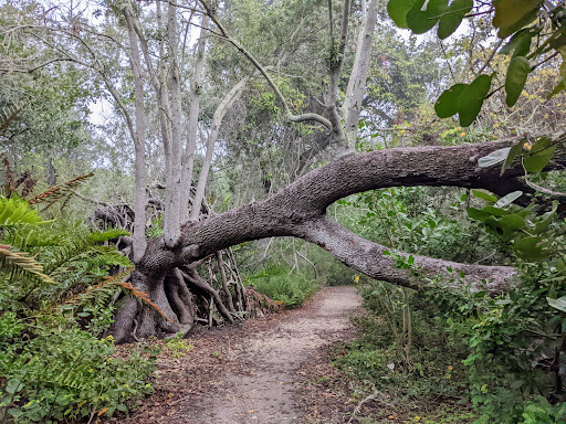 Nature Preserve «Perico Preserve», reviews and photos, 11700 Manatee Ave W, Bradenton, FL 34209, USA