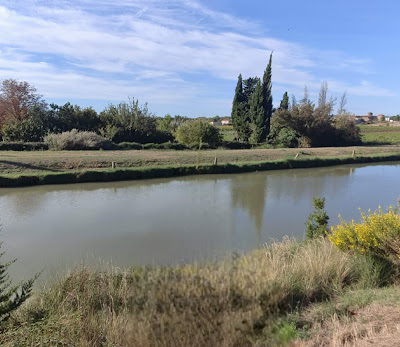 Le jardin de Gilbert à Puichéric