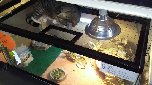 Picture Perfect Pet Center, 1374 N Baldwin Ave, Marion, IN 46952, USA, 