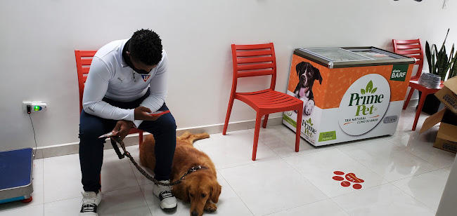 Dr Pets - Clínica Veterinaria - Ibarra