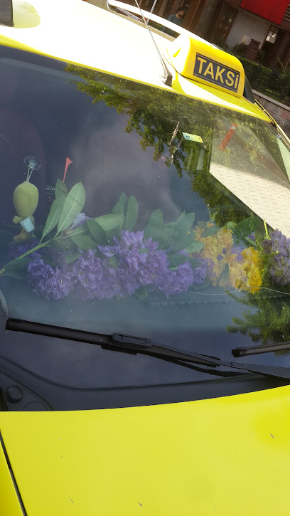 Bozkurt Taksi çiçek
