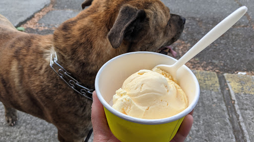 Ice Cream Shop «Full Tilt Columbia City», reviews and photos, 5041 Rainier Ave S, Seattle, WA 98118, USA