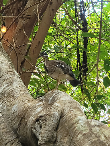 Zoo «Mesker Park Zoo», reviews and photos, 1545 Mesker Park Dr, Evansville, IN 47720, USA