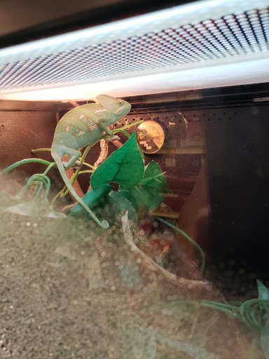 Pet Supply Store «PetSmart», reviews and photos, 28533 Marlboro Ave, Easton, MD 21601, USA