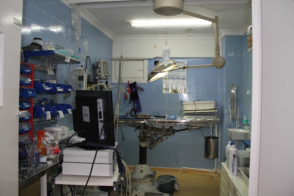 Imagen de Veterinarios A Domicilio (6 de 13)