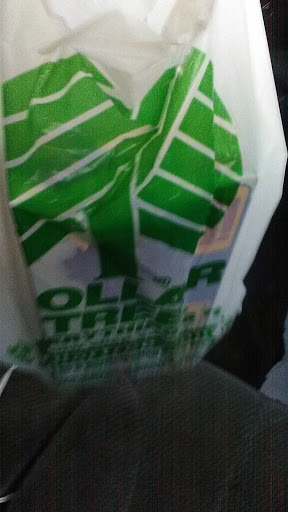 Dollar Store «Dollar Tree», reviews and photos, 241 Towne Center Blvd, Sanford, FL 32771, USA