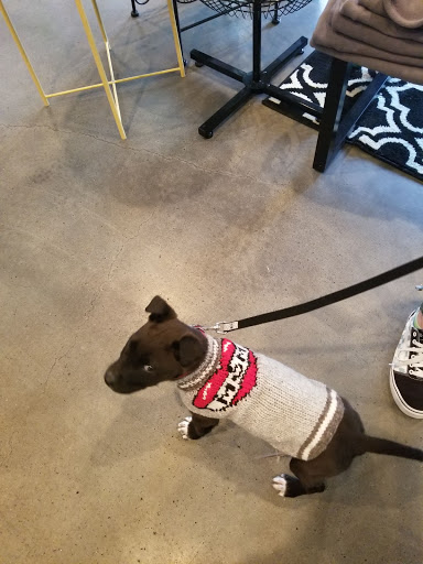 Pet Supply Store «Fetch Pet Supplies & Gifts», reviews and photos, 1332 E Republic Rd, Springfield, MO 65804, USA