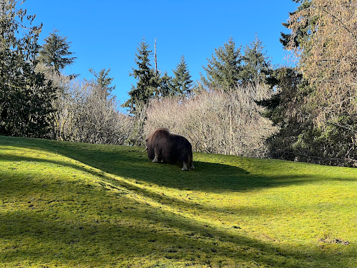 Zoo «Point Defiance Zoo & Aquarium», reviews and photos, 5400 N Pearl St, Tacoma, WA 98407, USA