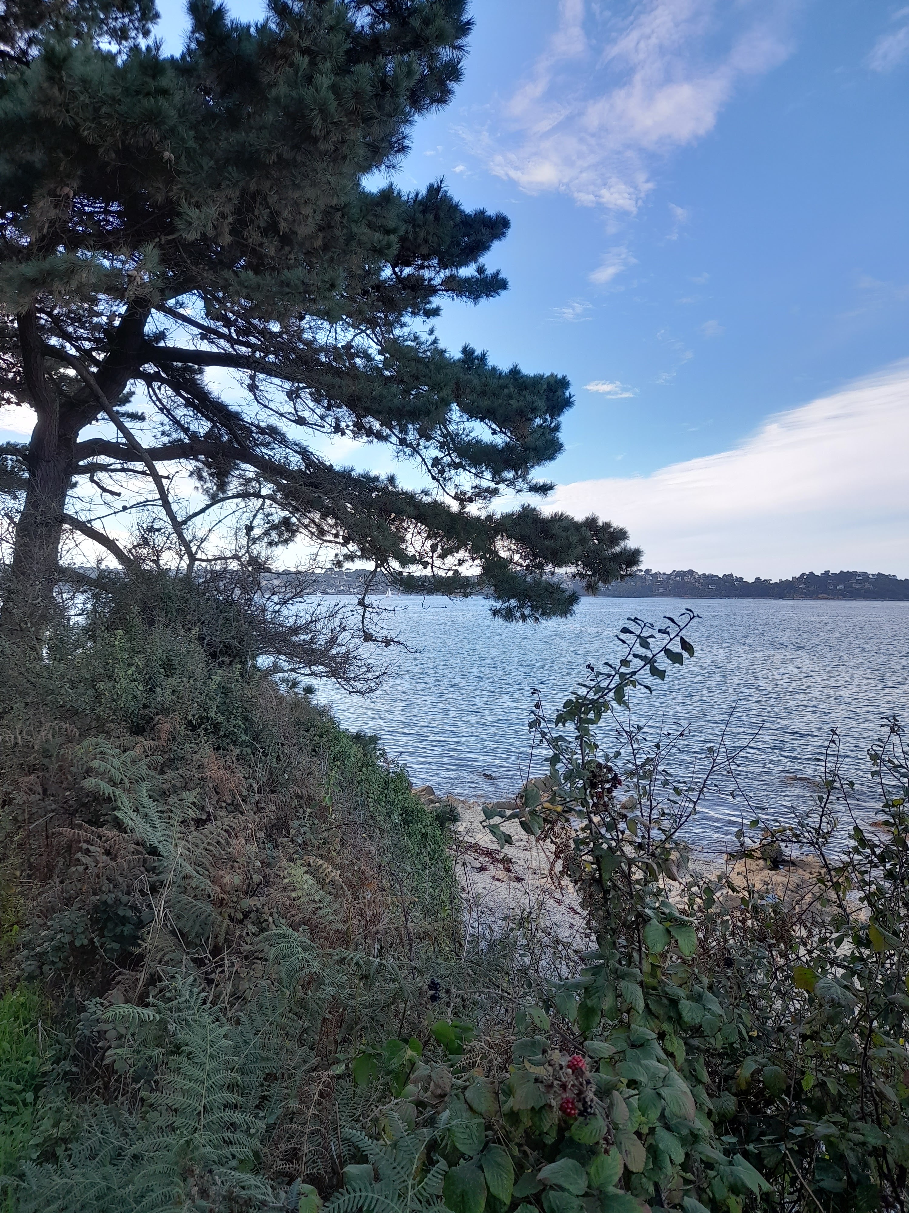 Photo n° 4 de l'avis de Michèle. fait le 16/09/2022 à 14:34
