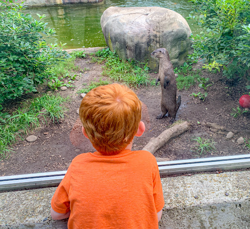 Zoo «Buttonwood Park Zoo», reviews and photos, 425 Hawthorn St, New Bedford, MA 02740, USA