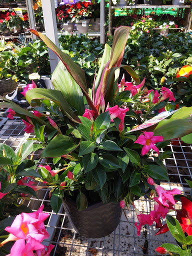 Home Improvement Store «The Home Depot», reviews and photos, 1385 7th St E, Monticello, MN 55362, USA