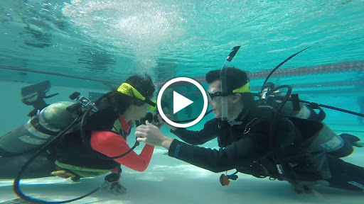 Dive Shop «Orbit Marine Sports Center Inc», reviews and photos, 3273 Fairfield Ave, Bridgeport, CT 06605, USA