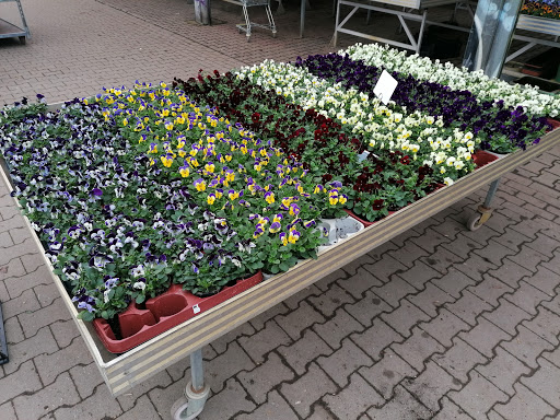 Leuchtenberg's Blumen- und Pflanzenmarkt