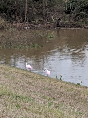 Shadow Creek Ranch Nature Trail - photo 70