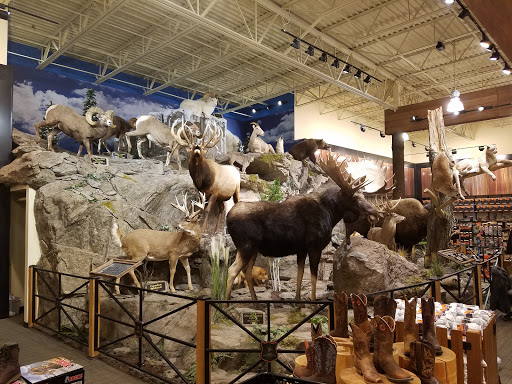 Outdoor Sports Store «Field & Stream», reviews and photos, 2075 Interchange Rd, Erie, PA 16509, USA