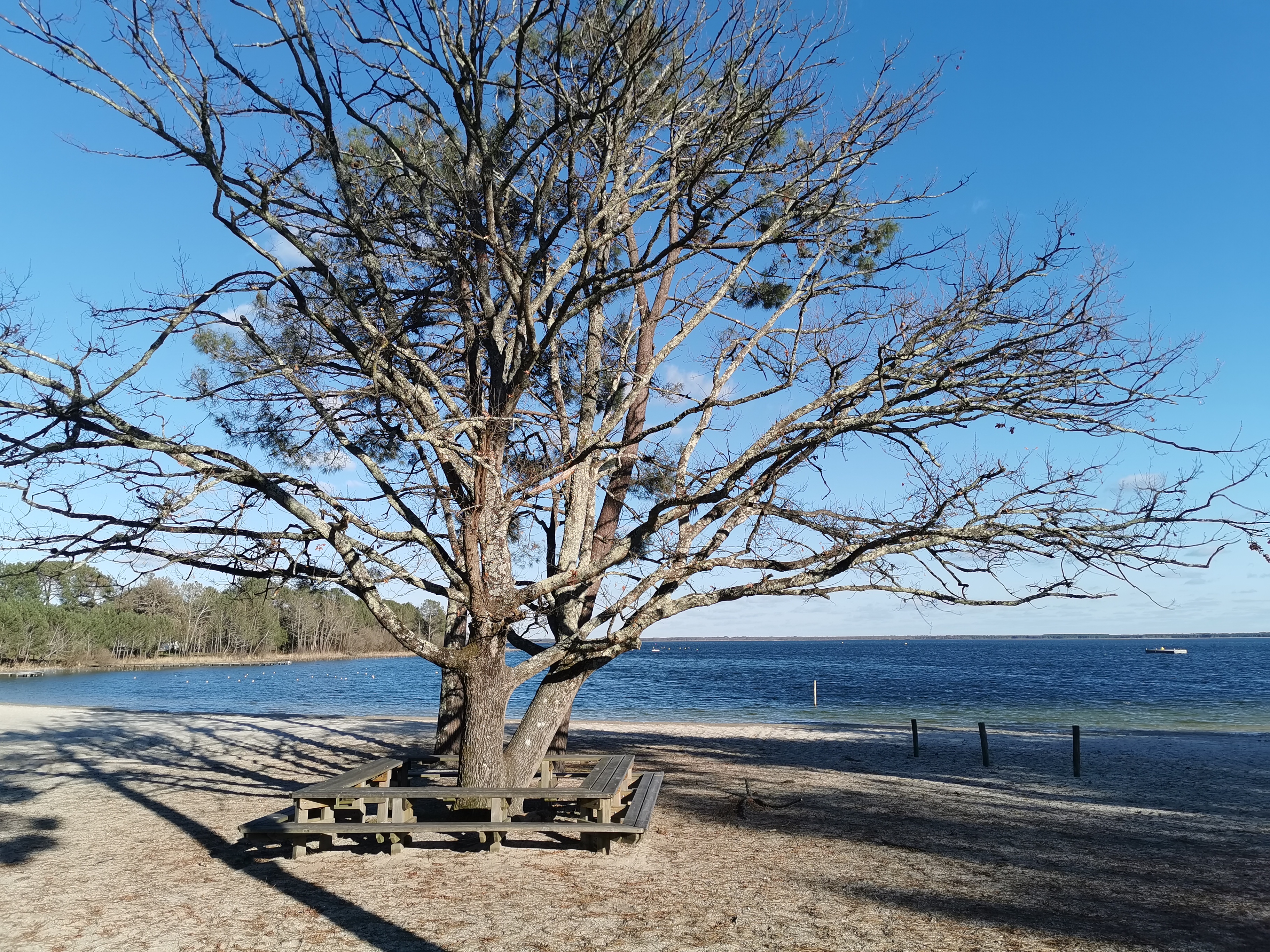 Photo n° 1 de l'avis de Sandrine.e fait le 05/02/2023 à 19:47