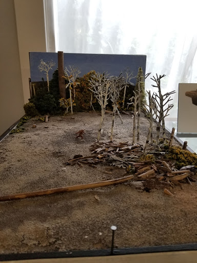 Museum «Lacey Museum», reviews and photos, 829 Lacey St SE, Lacey, WA 98503, USA