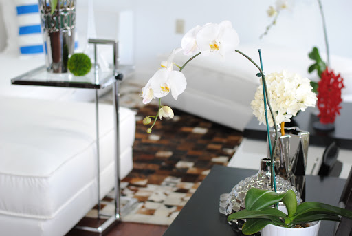 Furniture Store «Big C Furniture», reviews and photos, 8011 SW 40th St #102, Miami, FL 33155, USA