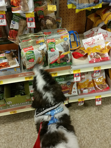 Pet Supply Store «PetSmart», reviews and photos, 5241 Frederica St, Owensboro, KY 42301, USA
