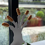 Photo n°3 de l'avis de L. fait le 08/05/2024 à 21:32 sur le  REAR restaurant à Nola