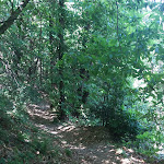 Photo n°6 de l'avis de Andre.h fait le 04/06/2017 à 16:00 sur le  Baita Monte Croce à Como