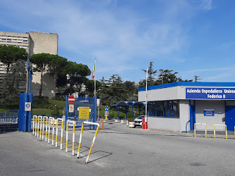 Policlinico