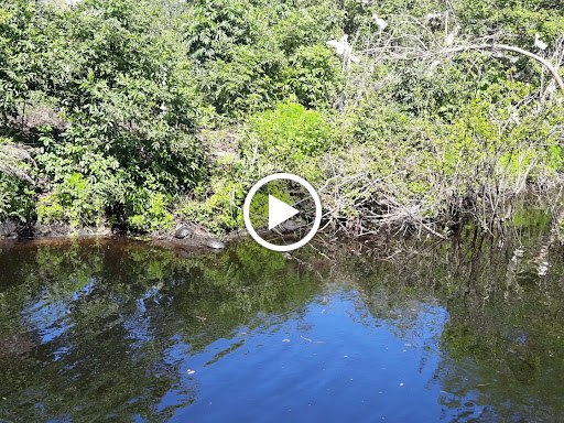 Park «Cypress Wetlands», reviews and photos, 1700 Paris Ave, Port Royal, SC 29935, USA