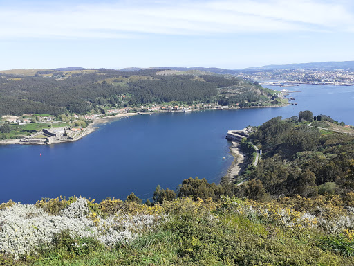 AGRÍCOLA MARTÍNEZ ESCUDERO, S.L. - Mugardos