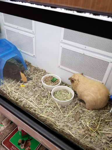 Pet Supply Store «Petco Animal Supplies», reviews and photos, 9078 SE Sunnyside Rd, Clackamas, OR 97015, USA