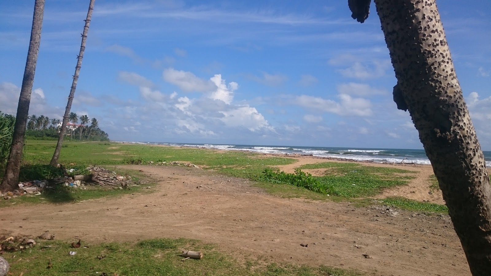 Pothupitiya Beach photo #9