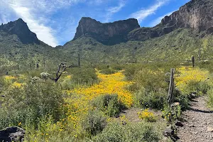 Picacho Peak State Park image