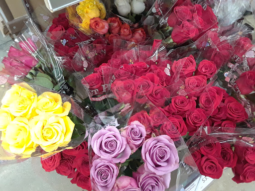 Supermarket «ALDI», reviews and photos, 3707 S Orlando Dr, Sanford, FL 32773, USA