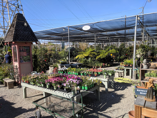 Garden Center «International Garden and Floral Design Center», reviews and photos, 155 N Sepulveda Blvd, El Segundo, CA 90245, USA