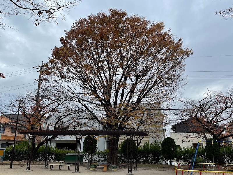 茨塚公園