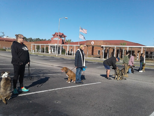 Dog Trainer «K9 Penn Dog Training Services», reviews and photos, 475 Sandy Ln, Surfside Beach, SC 29575, USA