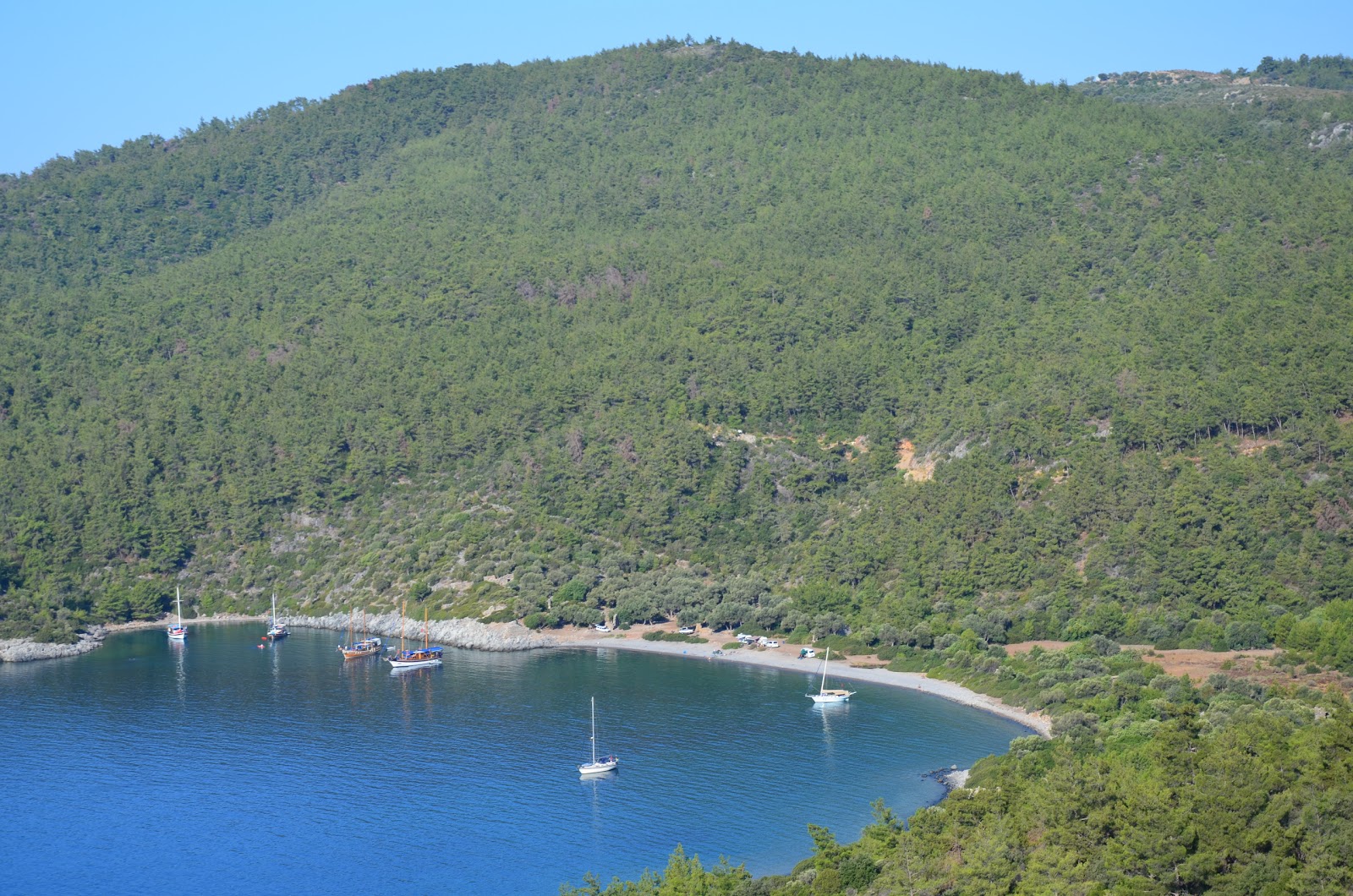 Foto van Kissebuku Bay met ruime baai