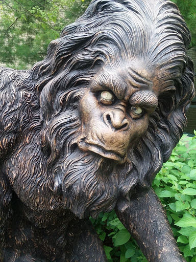 Commercial Printer «SG360º», reviews and photos, 1351 Wheeling Rd, Wheeling, IL 60090, USA