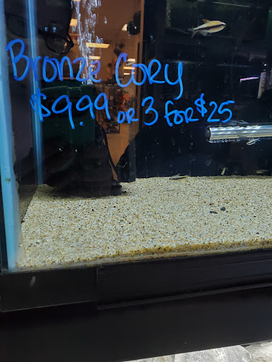 Tropical Fish Store «Animal House Pet Shop», reviews and photos, 358 Warner Milne Rd #110, Oregon City, OR 97045, USA