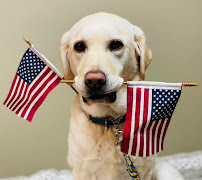 Hippos & Fish Specialized Pediatric Therapy Services - Photo 5 - Car repair in North Little Rock, AR, Little Rock