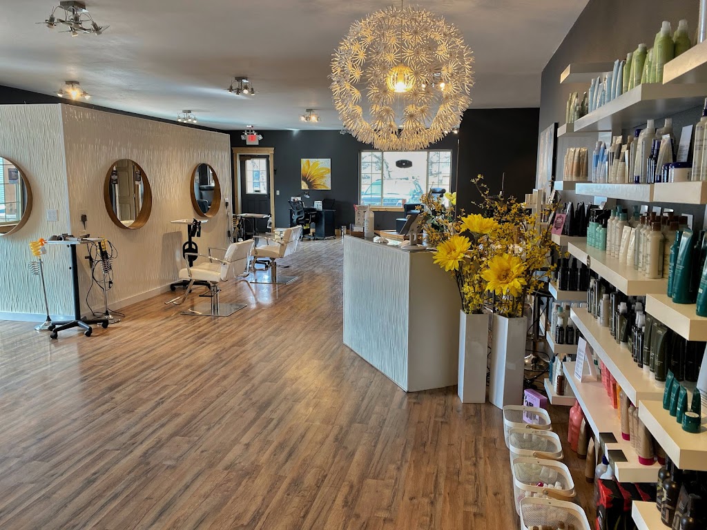 Tête Salon 59922
