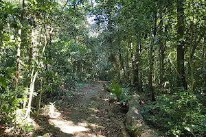 Caminho do Ouro (Travessia Vila Inhomirim Petrópolis) image